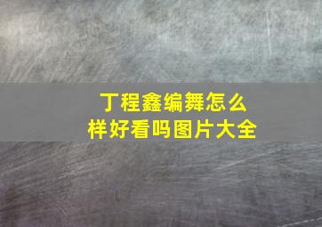 丁程鑫编舞怎么样好看吗图片大全