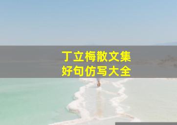 丁立梅散文集好句仿写大全