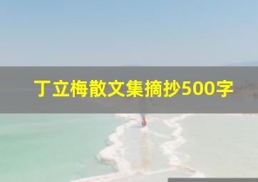 丁立梅散文集摘抄500字