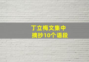 丁立梅文集中摘抄10个语段