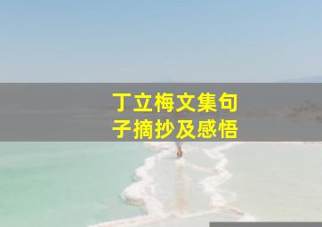 丁立梅文集句子摘抄及感悟