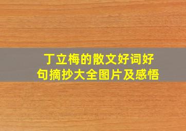 丁立梅的散文好词好句摘抄大全图片及感悟