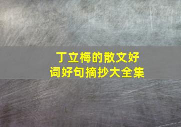 丁立梅的散文好词好句摘抄大全集