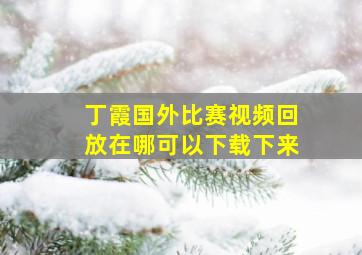 丁霞国外比赛视频回放在哪可以下载下来