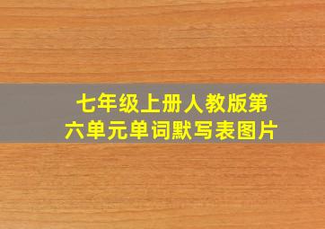 七年级上册人教版第六单元单词默写表图片