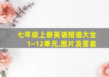 七年级上册英语短语大全1~12单元,图片及答案