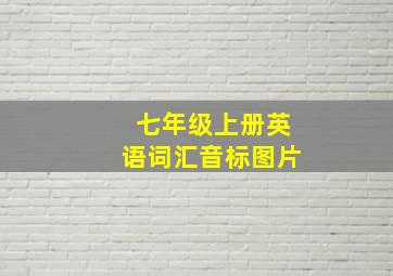 七年级上册英语词汇音标图片