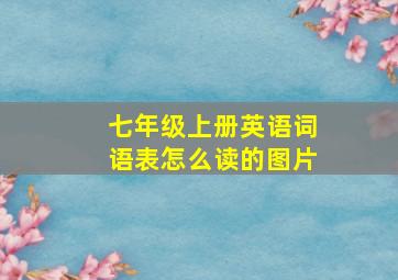 七年级上册英语词语表怎么读的图片