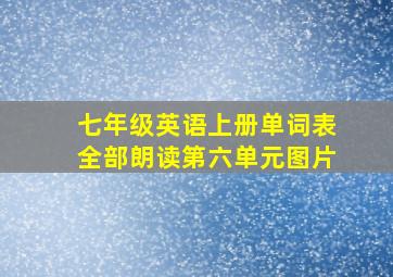 七年级英语上册单词表全部朗读第六单元图片