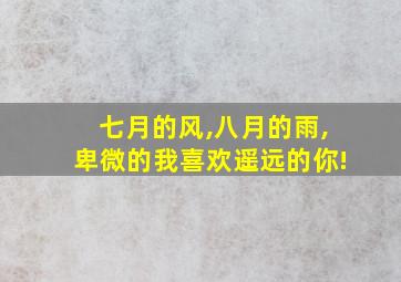 七月的风,八月的雨,卑微的我喜欢遥远的你!