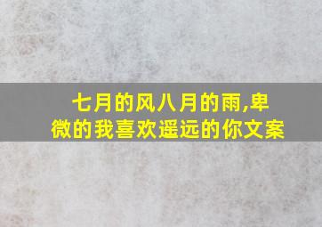 七月的风八月的雨,卑微的我喜欢遥远的你文案