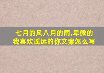 七月的风八月的雨,卑微的我喜欢遥远的你文案怎么写