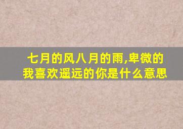 七月的风八月的雨,卑微的我喜欢遥远的你是什么意思