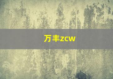 万丰zcw