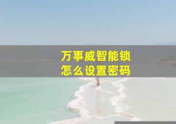 万事威智能锁怎么设置密码