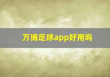 万博足球app好用吗