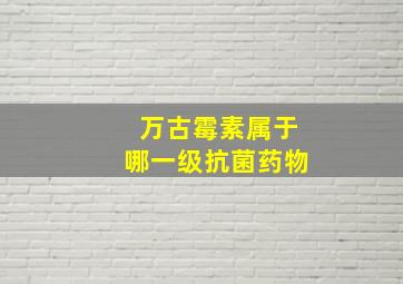 万古霉素属于哪一级抗菌药物