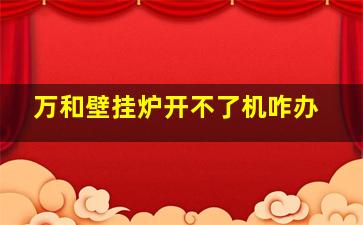 万和壁挂炉开不了机咋办