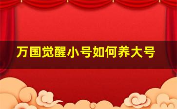 万国觉醒小号如何养大号