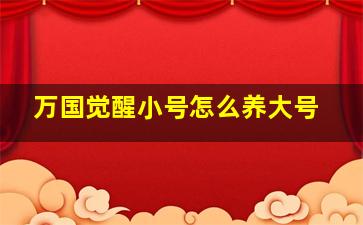 万国觉醒小号怎么养大号