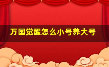 万国觉醒怎么小号养大号