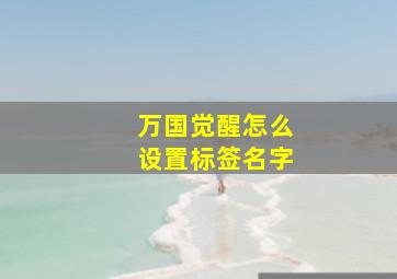 万国觉醒怎么设置标签名字