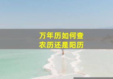 万年历如何查农历还是阳历