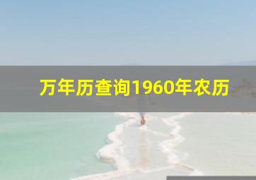 万年历查询1960年农历