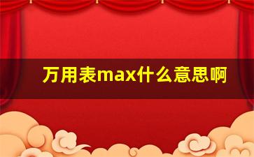 万用表max什么意思啊