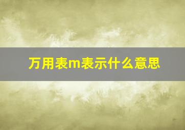 万用表m表示什么意思