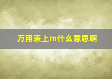 万用表上m什么意思啊