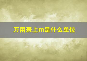 万用表上m是什么单位