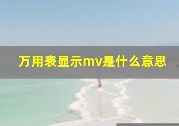 万用表显示mv是什么意思