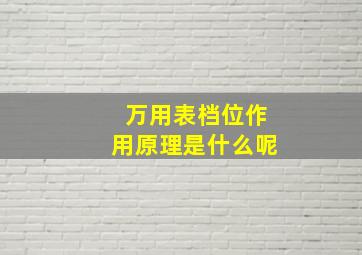 万用表档位作用原理是什么呢