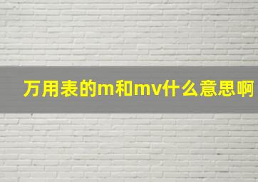 万用表的m和mv什么意思啊