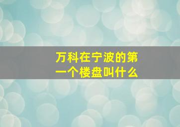 万科在宁波的第一个楼盘叫什么