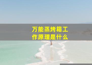 万能蒸烤箱工作原理是什么