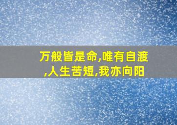 万般皆是命,唯有自渡,人生苦短,我亦向阳