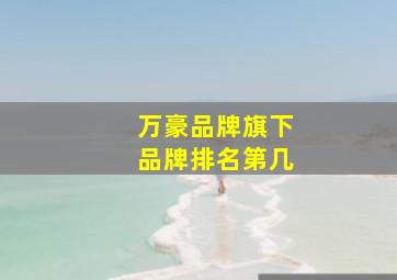 万豪品牌旗下品牌排名第几