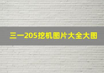 三一205挖机图片大全大图