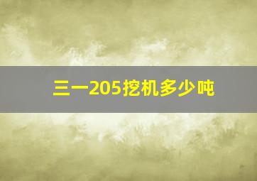 三一205挖机多少吨