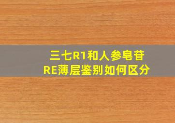 三七R1和人参皂苷RE薄层鉴别如何区分