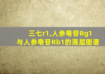 三七r1,人参皂苷Rg1与人参皂苷Rb1的薄层图谱