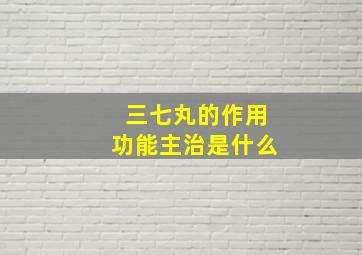 三七丸的作用功能主治是什么