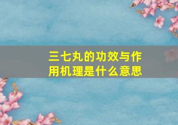 三七丸的功效与作用机理是什么意思