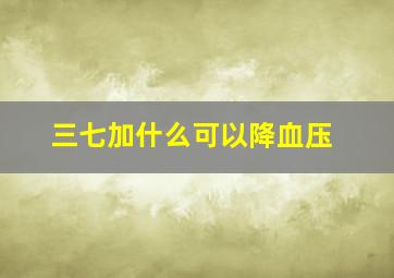 三七加什么可以降血压