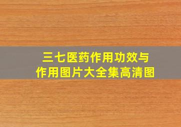 三七医药作用功效与作用图片大全集高清图