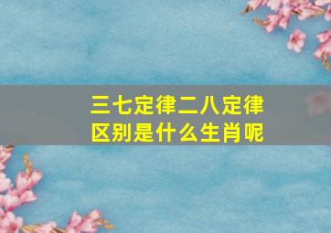 三七定律二八定律区别是什么生肖呢