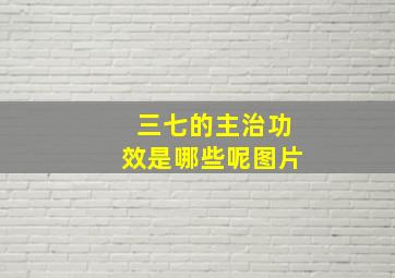 三七的主治功效是哪些呢图片