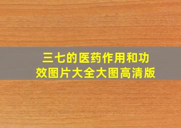 三七的医药作用和功效图片大全大图高清版